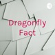 Dragonfly Fact