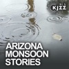 KJZZ's Arizona Monsoon Stories artwork