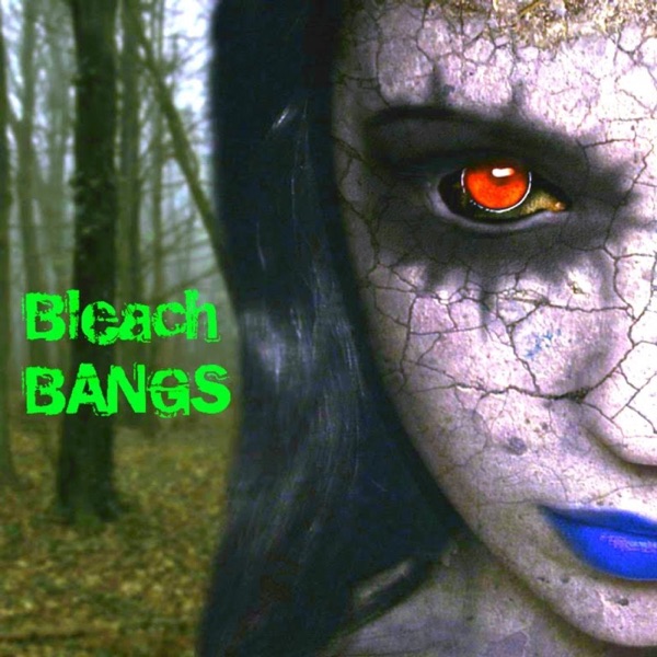 BleachBANGS Artwork