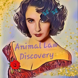 Let's discover Animal law. Be the best pet parent you can be. 