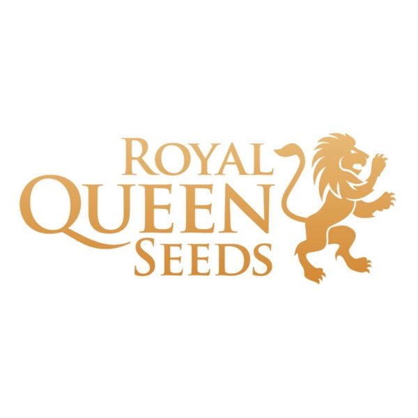 Royal Queen Seeds - Cannabis podcast