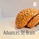 Advances Of Brain