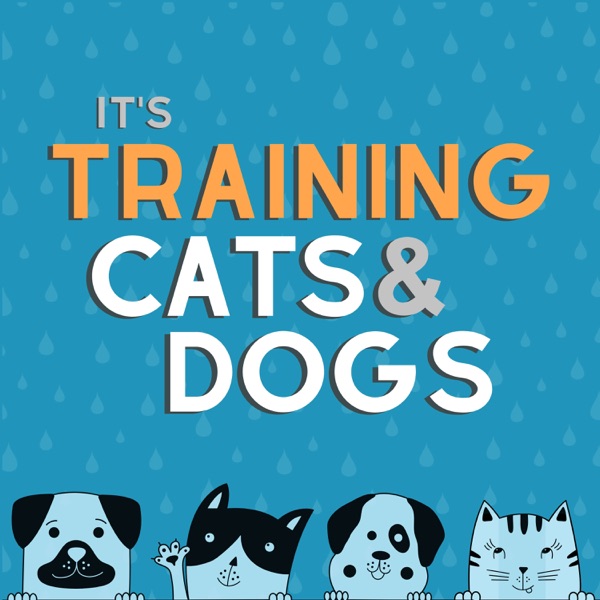 It's Training Cats and Dogs! Artwork