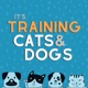 It's Training Cats and Dogs!