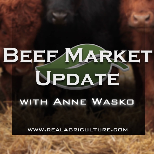 Beef Market Update Artwork