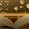 Аудио приказки за деца „Лисиците четат“ - Fox Book Cafe и Ели Мантовска, https://foxbooks.bg/