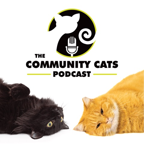 The Community Cats Podcast