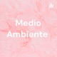 Medio Ambiente 