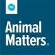 Animal Matters