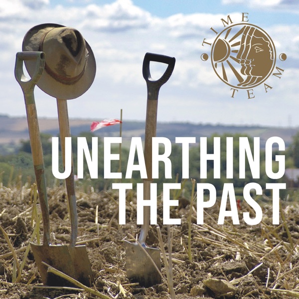 Artwork for Time Team: Unearthing the Past