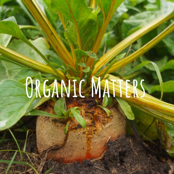 Organic Matters Artwork