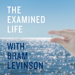 The Examined Life with Bram Levinson