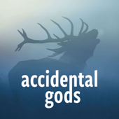 Accidental Gods - Accidental Gods
