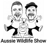 Richard Gibson | Komodo Dragons in Captivity 