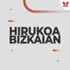 Hirukoa Bizkaian: partidos del Bilbao Basket artwork