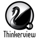 Thinkerview