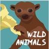 Wild Animals artwork