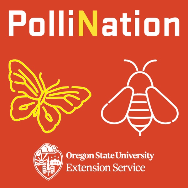 PolliNation Artwork