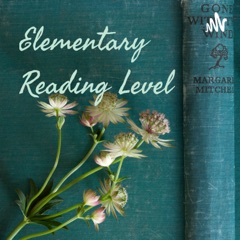 Elementary Reading Level