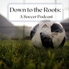 Down To The Roots Soccer Podcast artwork