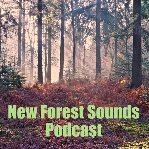 New Forest Sounds