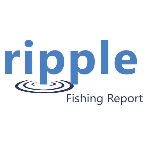 Ripple Fishing Report Artwork