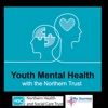 Youth Mental Health with the Northern Trust artwork