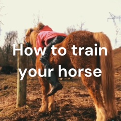 How to train your horse