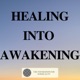 Healing into Awakening - Episode 7: Forgiveness by Jason Shulman