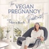 Vegan Pregnancy Podcast artwork