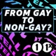 From Gay to Non-Gay? Part 3 (Re-release)