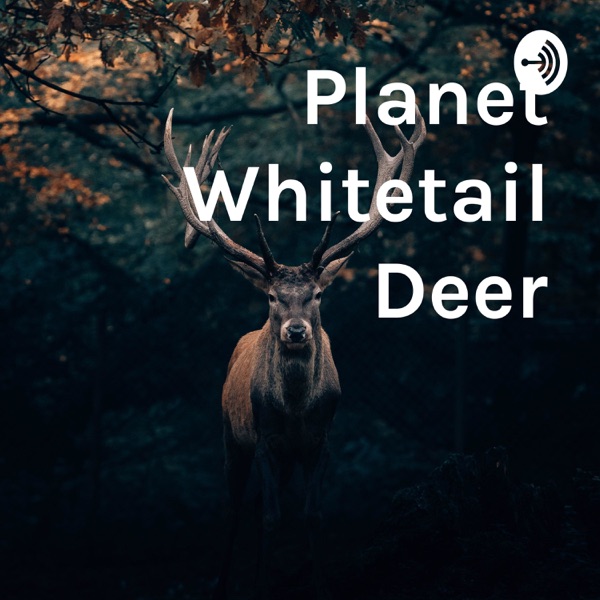 Planet Whitetail Deer Artwork