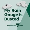 My Rain Gauge is Busted artwork