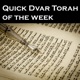 Quick Dvar Torah of the week