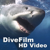 DiveFilm HD Video - DiveFilm