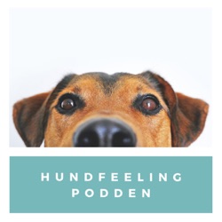 Hundfeelingpodden