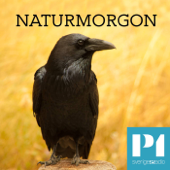 Naturmorgon - Sveriges Radio