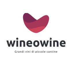 Wineowine - Grandi vini di piccole cantine