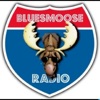Blues Music (Blues moose radio)
