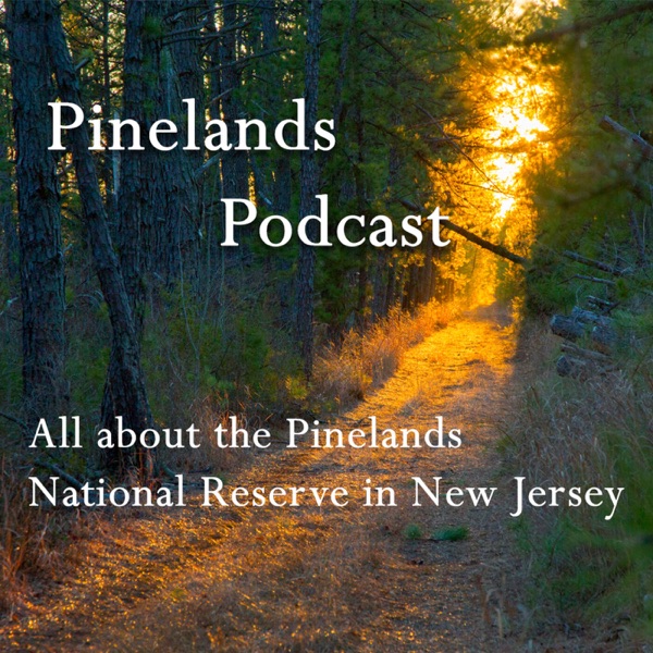 Pinelands Podcast Artwork