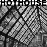 Houseplant Confidential with Jane Perrone