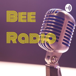 Bee Radio Pilot