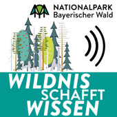 Wildnis schafft Wissen - Forschung im Nationalpark Bayerischer Wald - Julia Reihofer