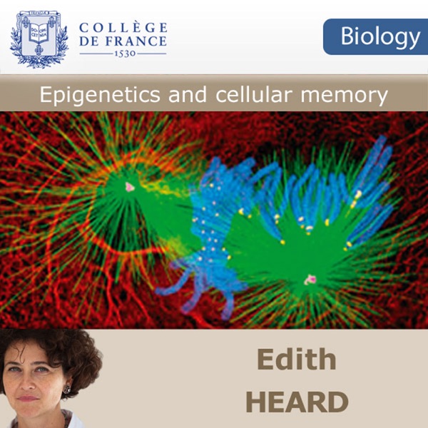 Epigenetics and cellular memory Artwork