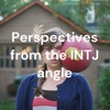 Perspectives from the INTJ angle artwork