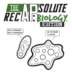 The APsolute Recap: Biology Edition - Codons