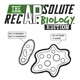 The APsolute Recap: Biology Edition - Ultimate Review Packet