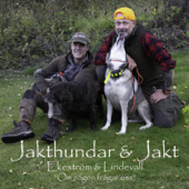 Jakthundar och Jakt - Björn Lindevall, Peter Ekeström