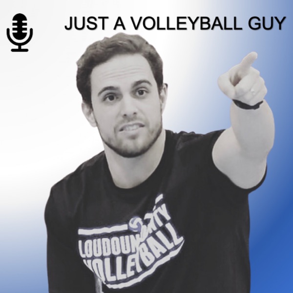 Just a Volleyball Guy Artwork