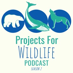 Episode 058- Katie Schuler creates films on pangolins - the most trafficked mammal in the world